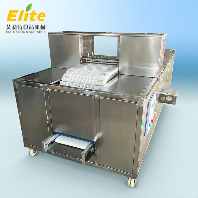 fruit pitter machine