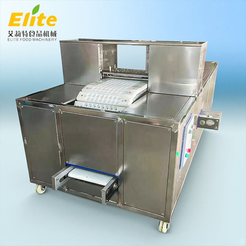 fruit pitter machine