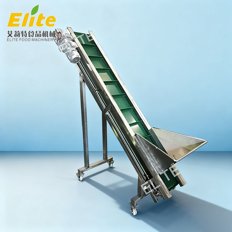 belt elevator conveyor