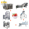 tomato paste processing line