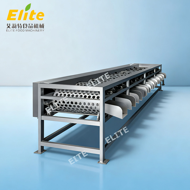 fruit grading equipment