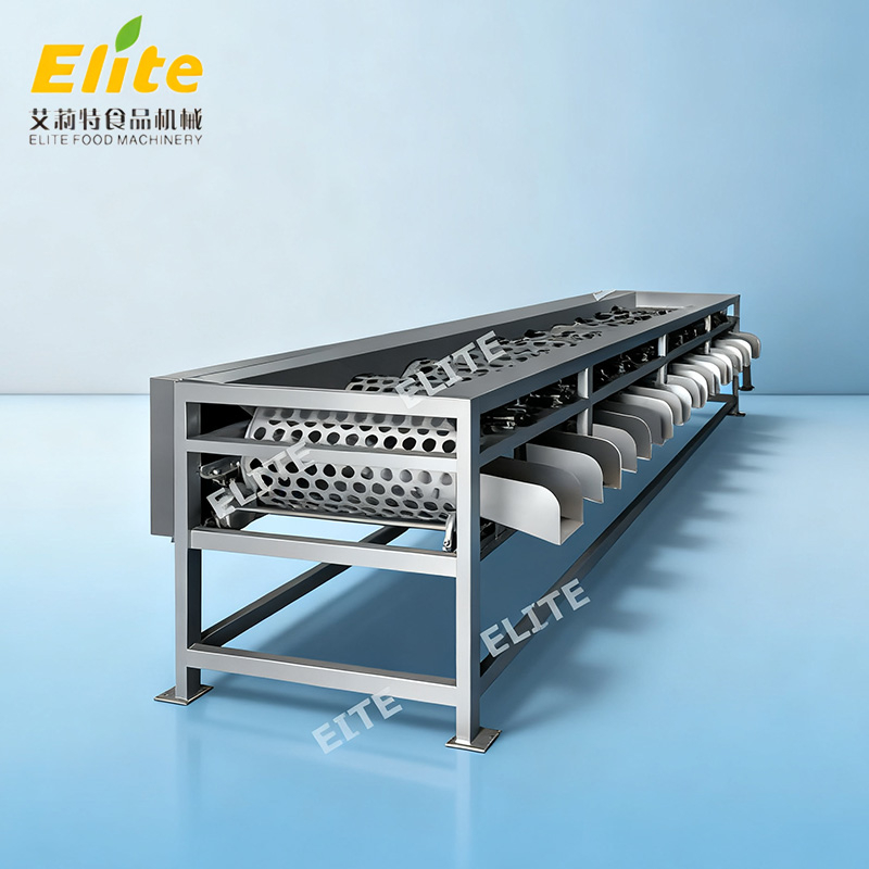 fruit grading equipment