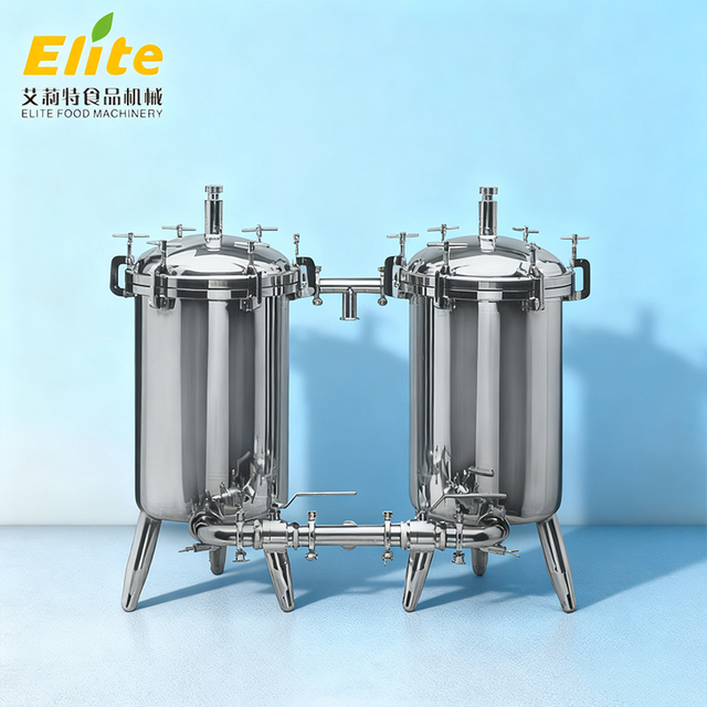 duplex filter system