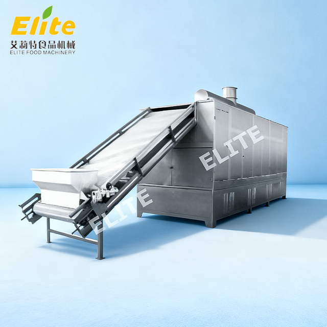 belt dryer machine
