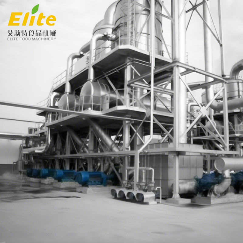 tomato sauce processing line