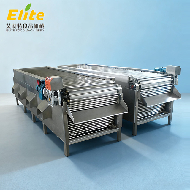 automatic fruit sorting and grading machine