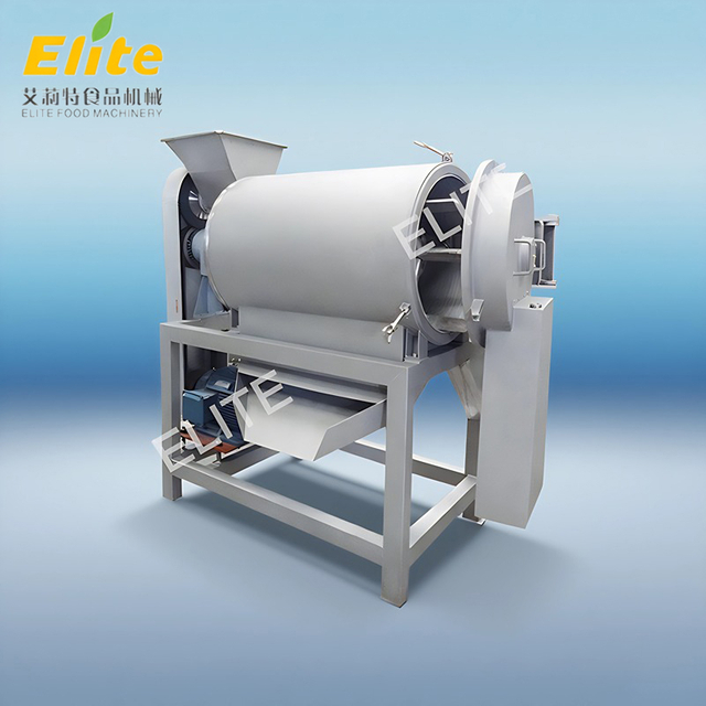 single channel fruit pulping machine