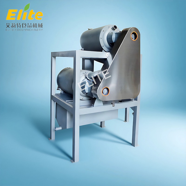 Double channel fruit pulping machine
