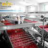 tomato ketchup production line