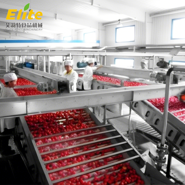 tomato ketchup production line