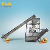 potato processing line