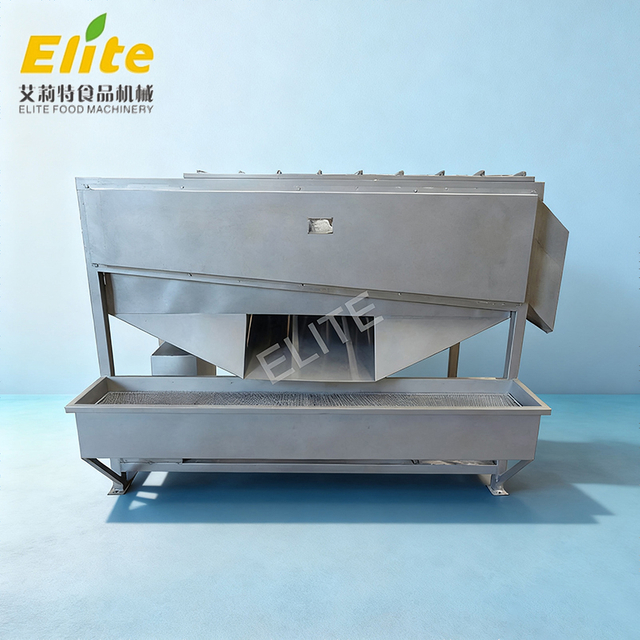 parallel brush washing machine