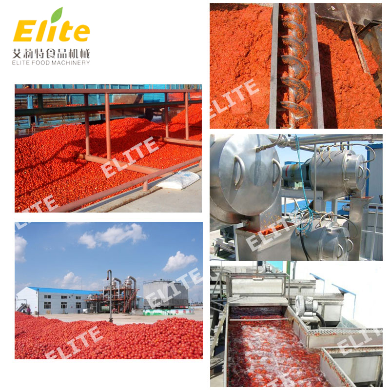 Tomato Sauce And Canned Tomato Production Line