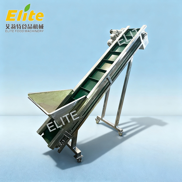 belt elevator conveyor