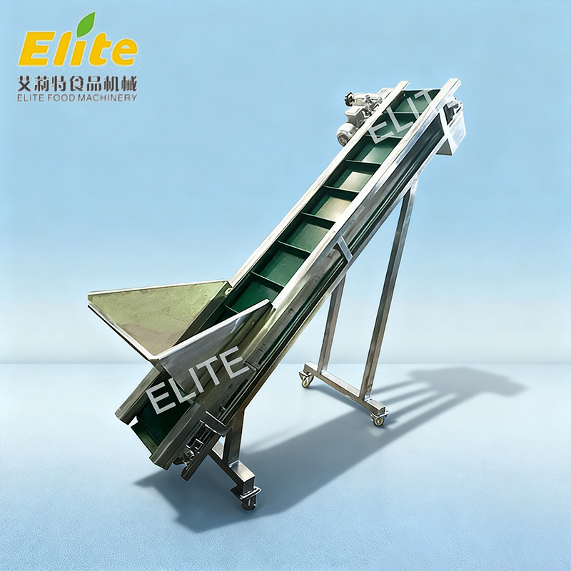 belt elevator conveyor